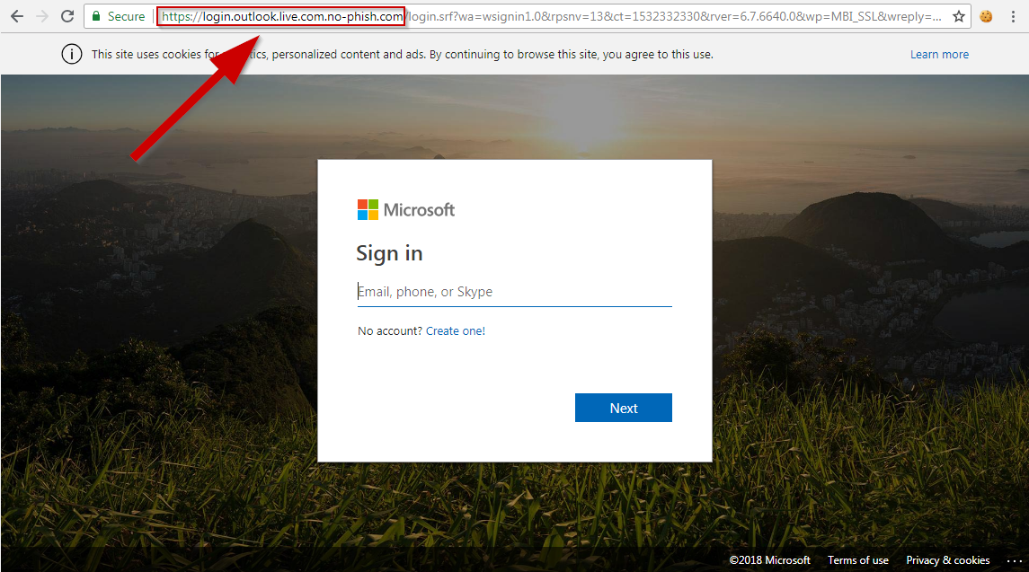 Image of Evilginx phishing page