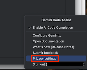 IntelliJ Gemini Code Assist privacy settings in menu.