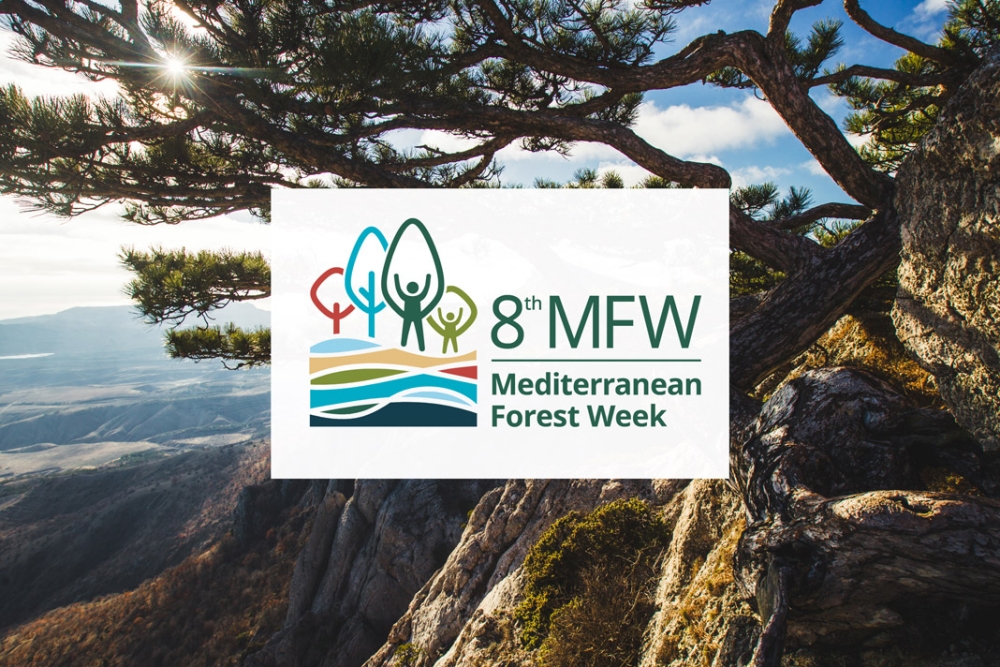 Mediterranean Forest Week