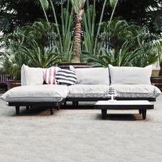 a couch sitting on top of a cement floor next to palm trees and benches in the background