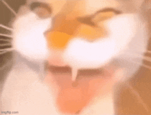 a blurry picture of a cat 's face with its mouth open and its eyes closed .