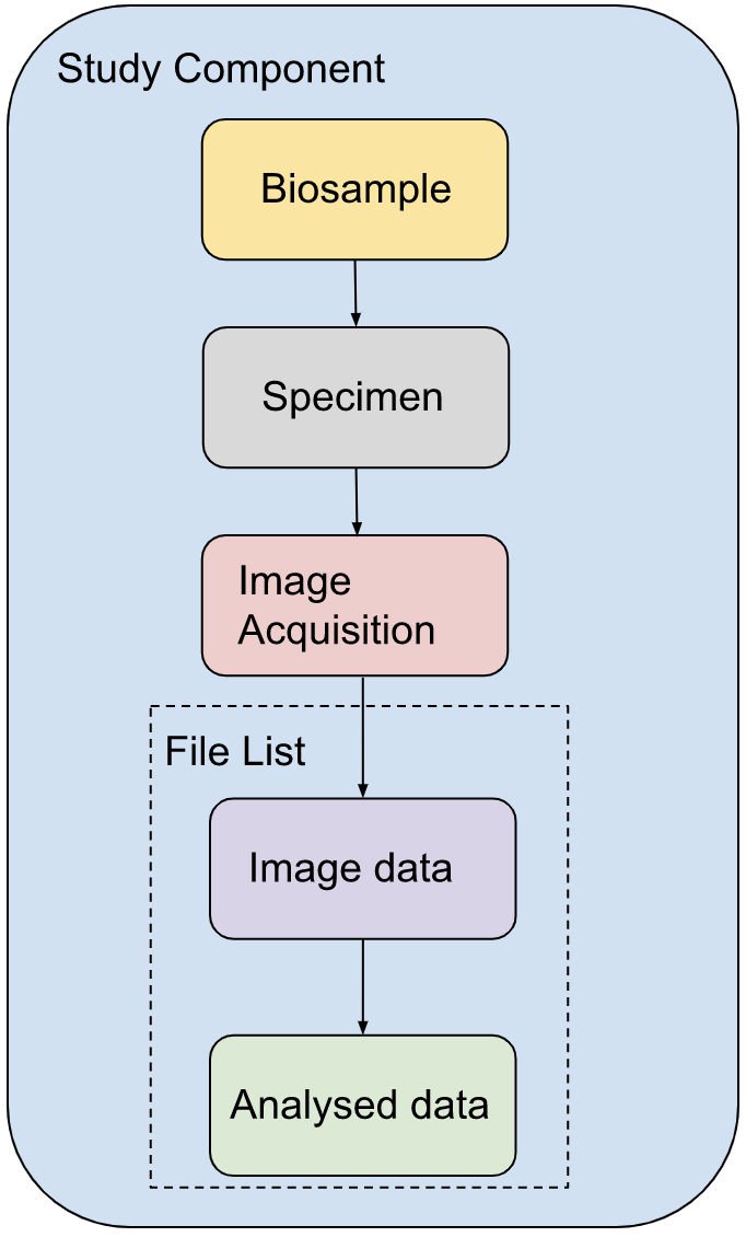 Study Component Example 1