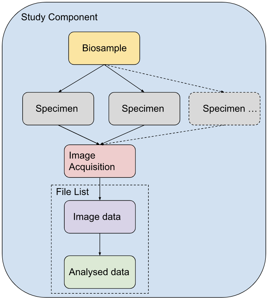 Study Component Example 2