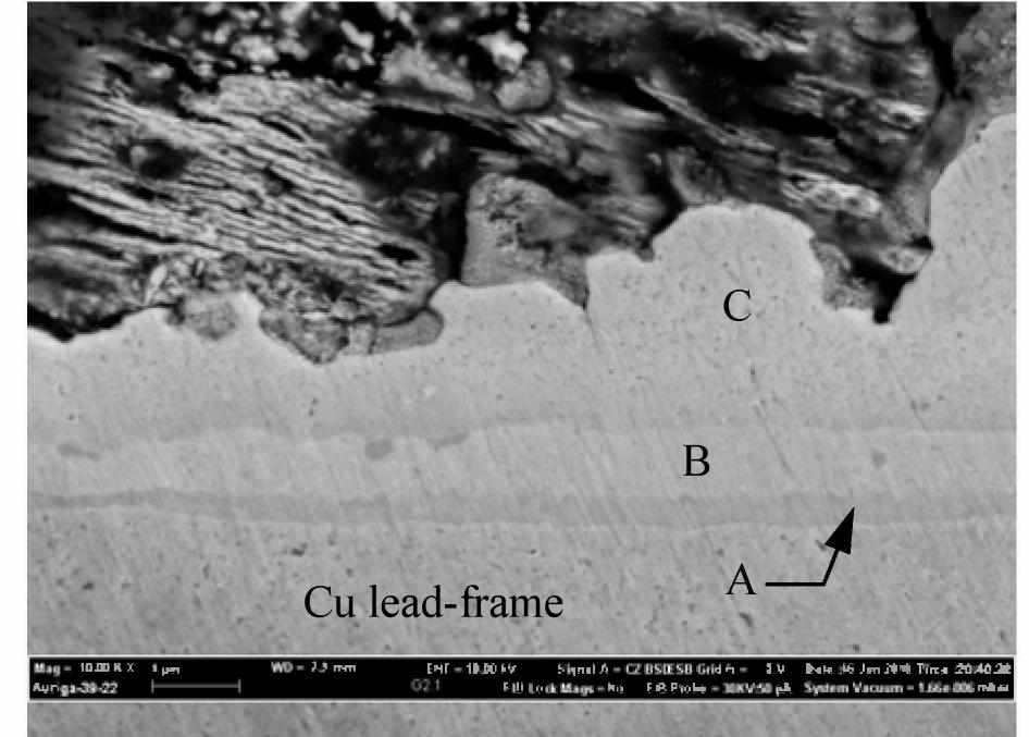 Fig. 4: SEM image at solder/Cu lead-frame interface  From F ig. 4 it is evident that there are three distinct IMC layers that formed at the Cu lead-frame/solder interface. A  thin layer (A) of B’-CuZn forms close to copper lead-frame, a scallop shaped ¢-CuZn, layer (C) forms at the solder side and while y-CusZng layer (B) forms at the middle. The 