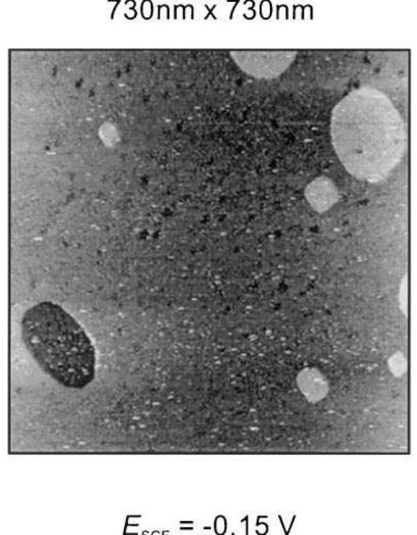 Fig. 6. STM image (730 x 730 nm?), at — 0.15 V in 0.1 M H,SO, of a Pt(100) electrode, prepared by flame-annealing and cooling under a strong H, stream. W-tip; = 10 nA; U;=0.10 V (tip positive).  In order to obtain further information about the structure of the surface (reconstructed or unrecon- structed?), the following experiment was carried out: the electrode was flame-annealed, cooled down in N, and immersed into 0.1 M H,SO, under potential con- trol, where a cyclic voltammogram was recorded (see 