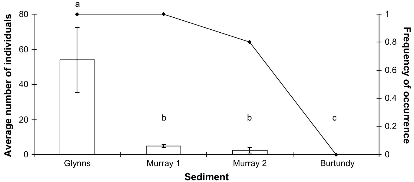 Fig. 3. Effect of sediment on numbers of Tanytarsus fuscithorax adults emerging from experiment 1 microcosms. The bars illustrate the average number of individuals per microcosm and lines represent the proportion of microcosms per treatment where T. fuscithorax was present. Error bars represent standard errors. Significance was tested statistically by Kruskall-Wallis tests (P < 0.05). Bars showing the same letter represent values that do not differ significantly. 